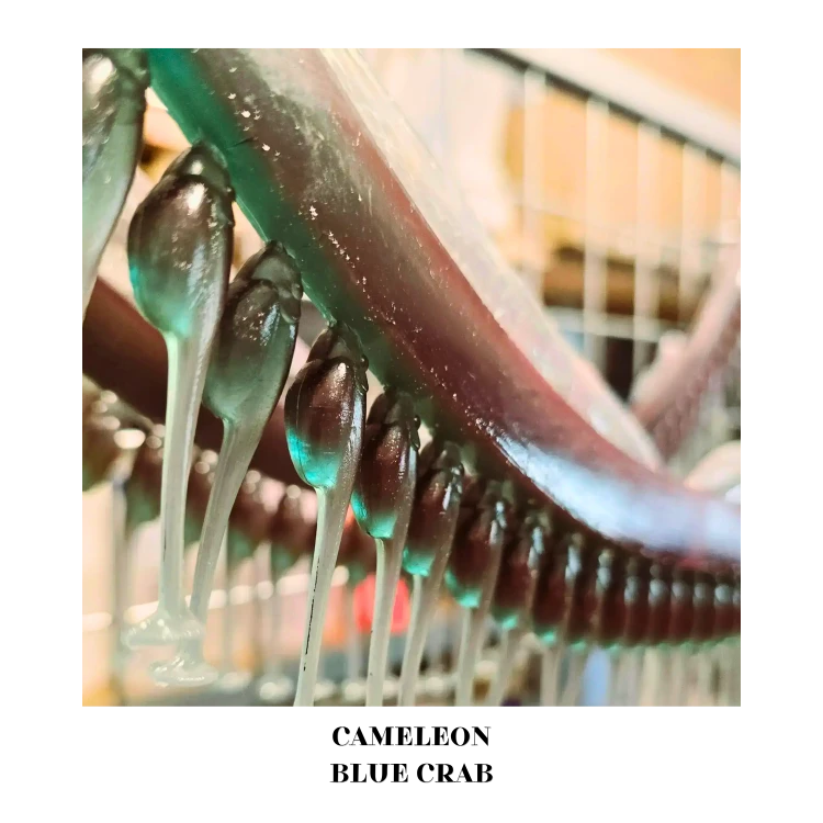 19.png